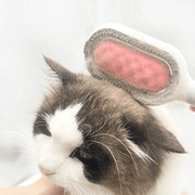 Pet hair removal comb with water tank 