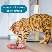 Smart Snake pour chat