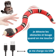 Smart Snake pour chat