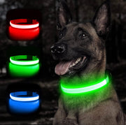 Cuila Collier à led pour chiens