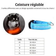 Cuila Collier à led pour chiens