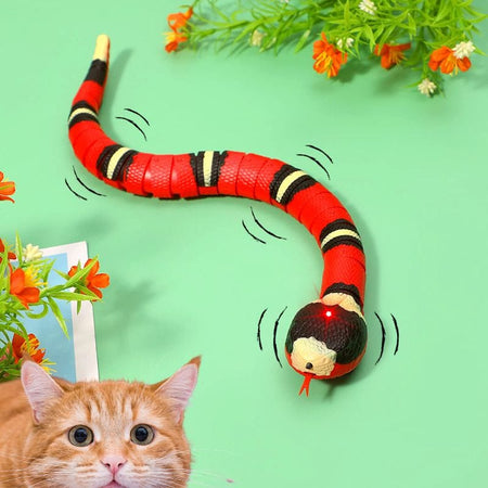 Smart Snake pour chat