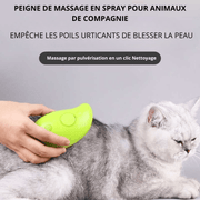 Spray pour animaux de compagnie Peigne de massage