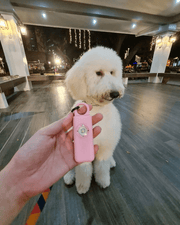 SécuriFemme - L'alarme de sécurité personnelle