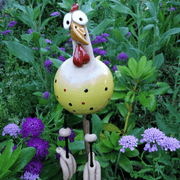 Happy Garden Chickens | Illuminez votre jardin !