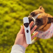 Coupe ongles pour chien - Pince à ongles électrique pour chiens