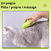 Spray pour animaux de compagnie Peigne de massage